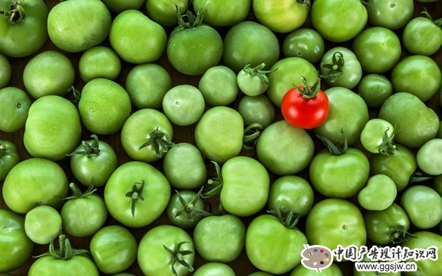 tVnMSjsNKfeC65hkV4.jpg 2.jpg