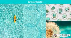 Shutterstock2019年色彩趋势：探索世界上最流行的色彩（二）